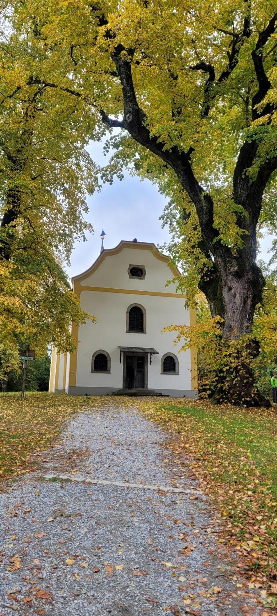 Ferienwohnung Bayerwaldblick Jandelsbrunn Exterior foto